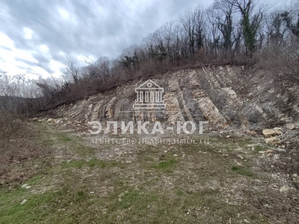 0b949b8d-5c58-41e6-8d0d-5b3c0c8cadf4