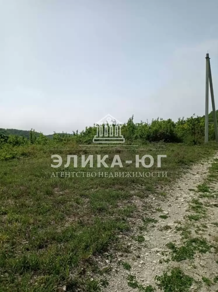 img-20240804-wa0000