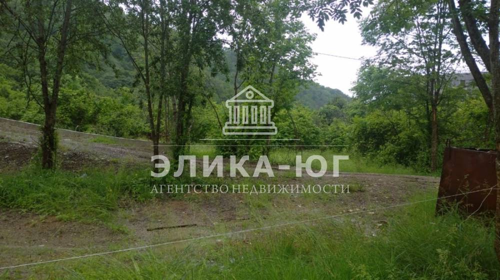 img-20250602-wa0005