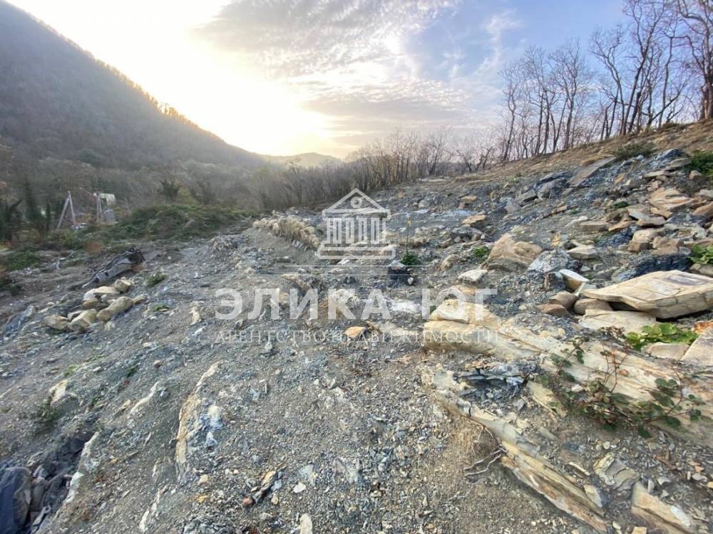 d206bf6b-7781-4bf1-a761-0842d4c96839