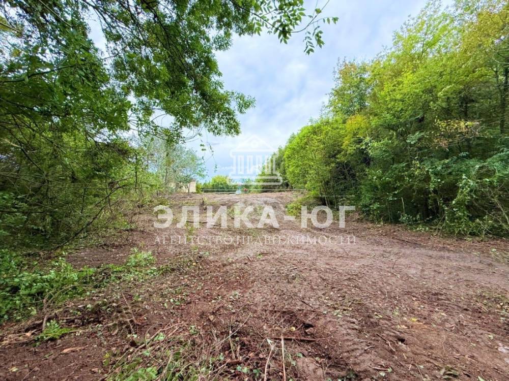 66417a6a-215c-47c7-b32f-e7494e6862b6