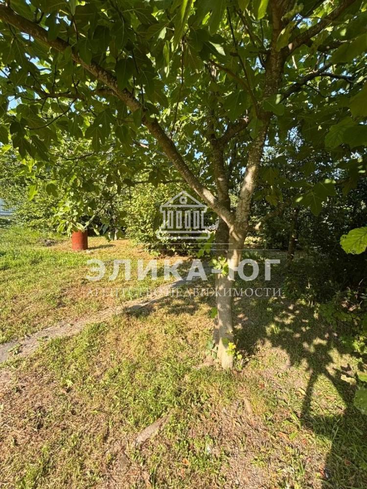 img_20260210_114740_390