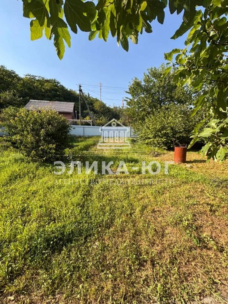 img_20260210_114746_649