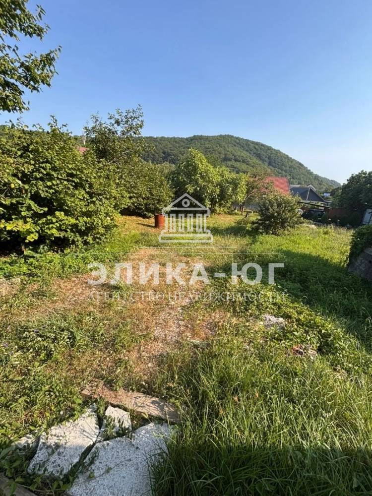 img_20260210_114812_769