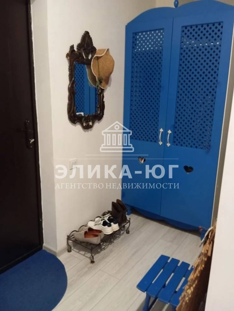 img_20260217_114656_234