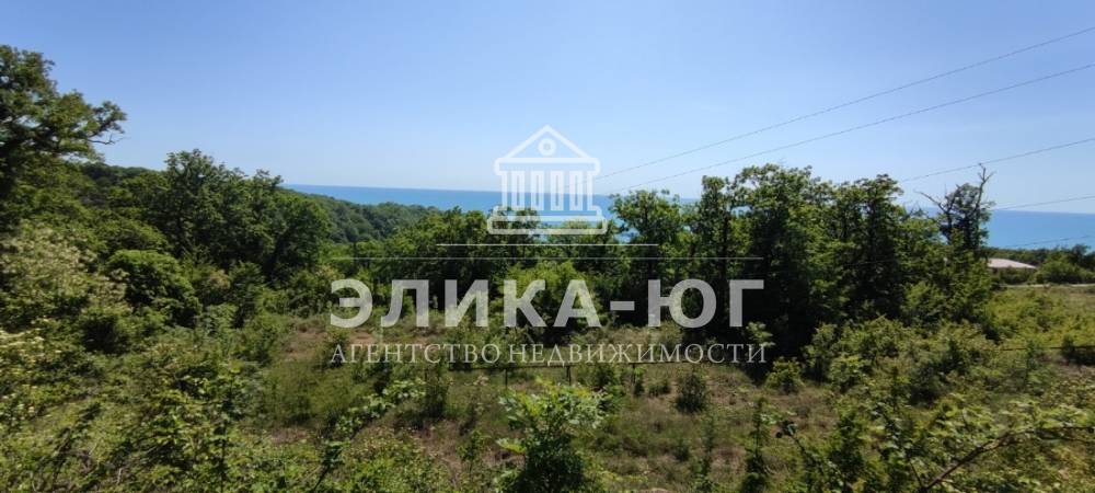 ae287246-235a-4921-8a05-7e13236ab681