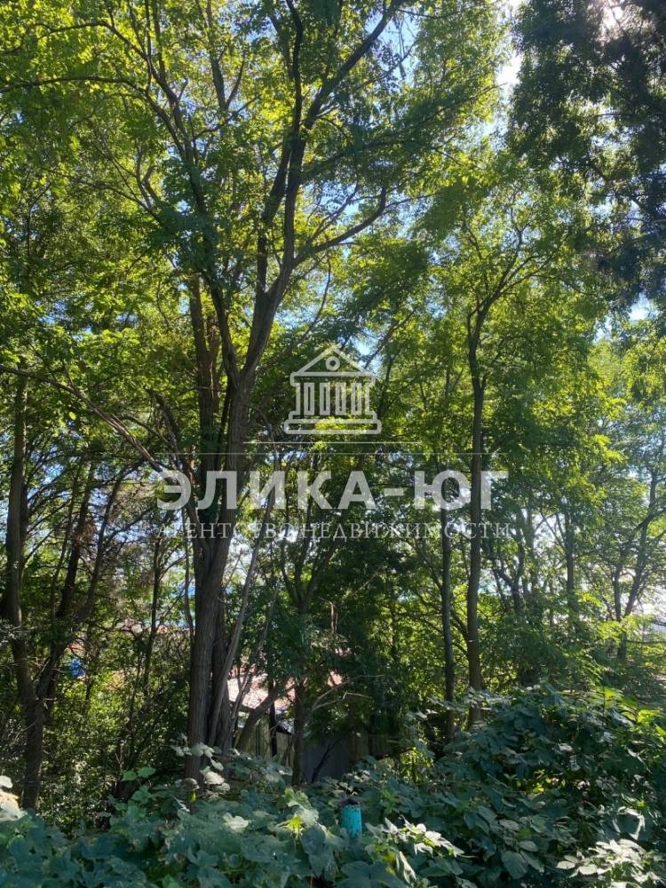 69dd5c9c-0ec3-44f5-bc16-24c1848e01d1