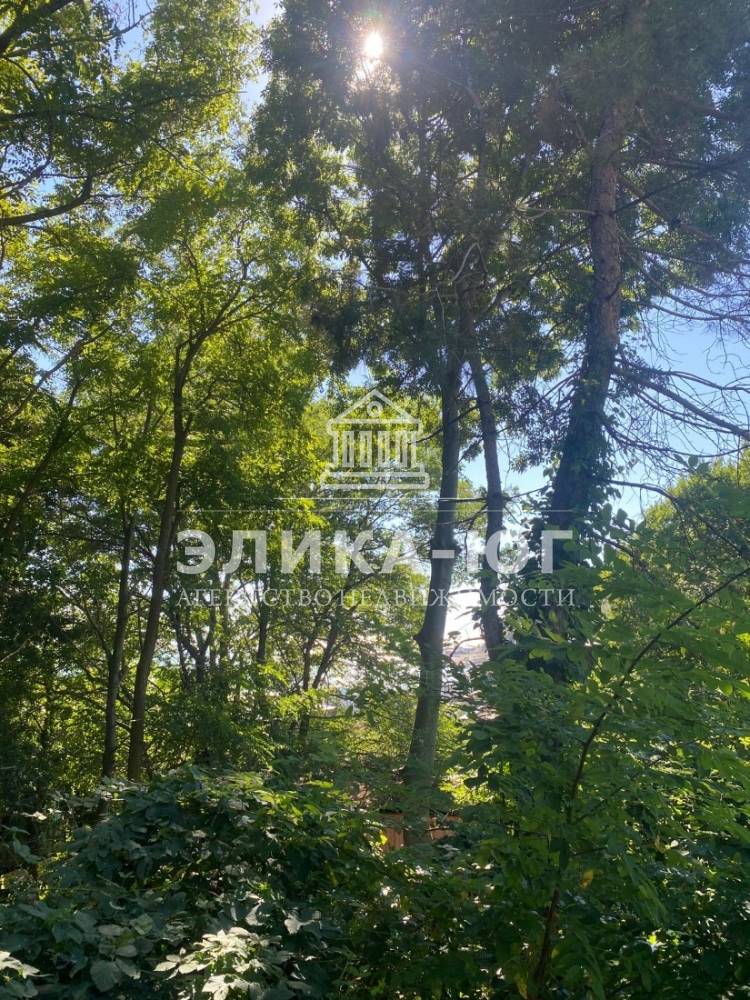 abe29d36-7693-4ba7-83b2-eac198c79700